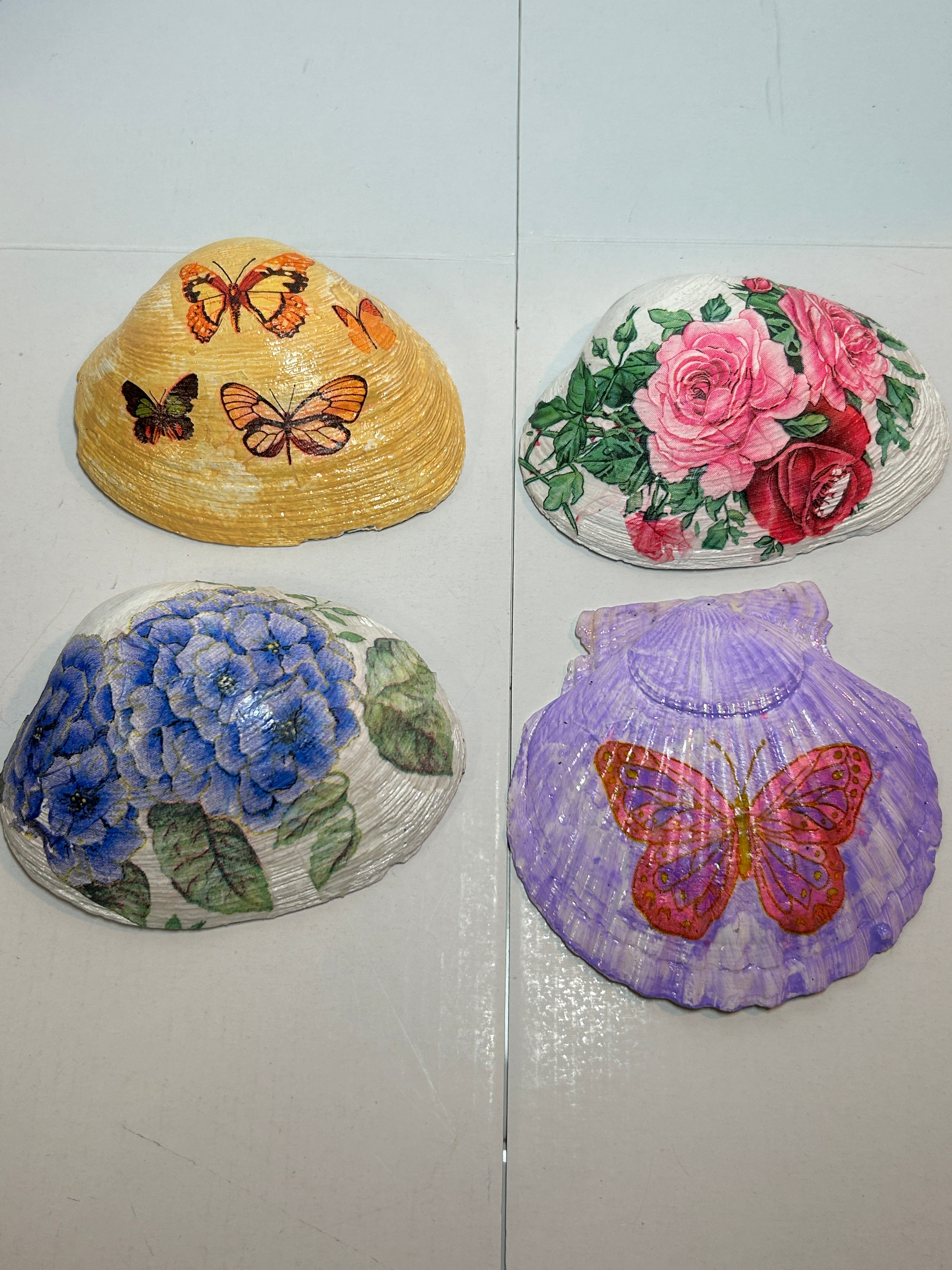 decorative shells