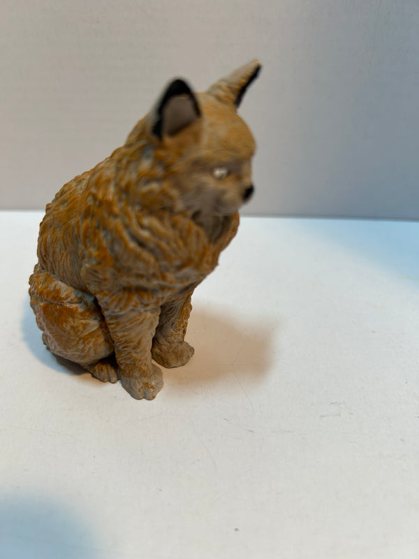 Sitting up cat