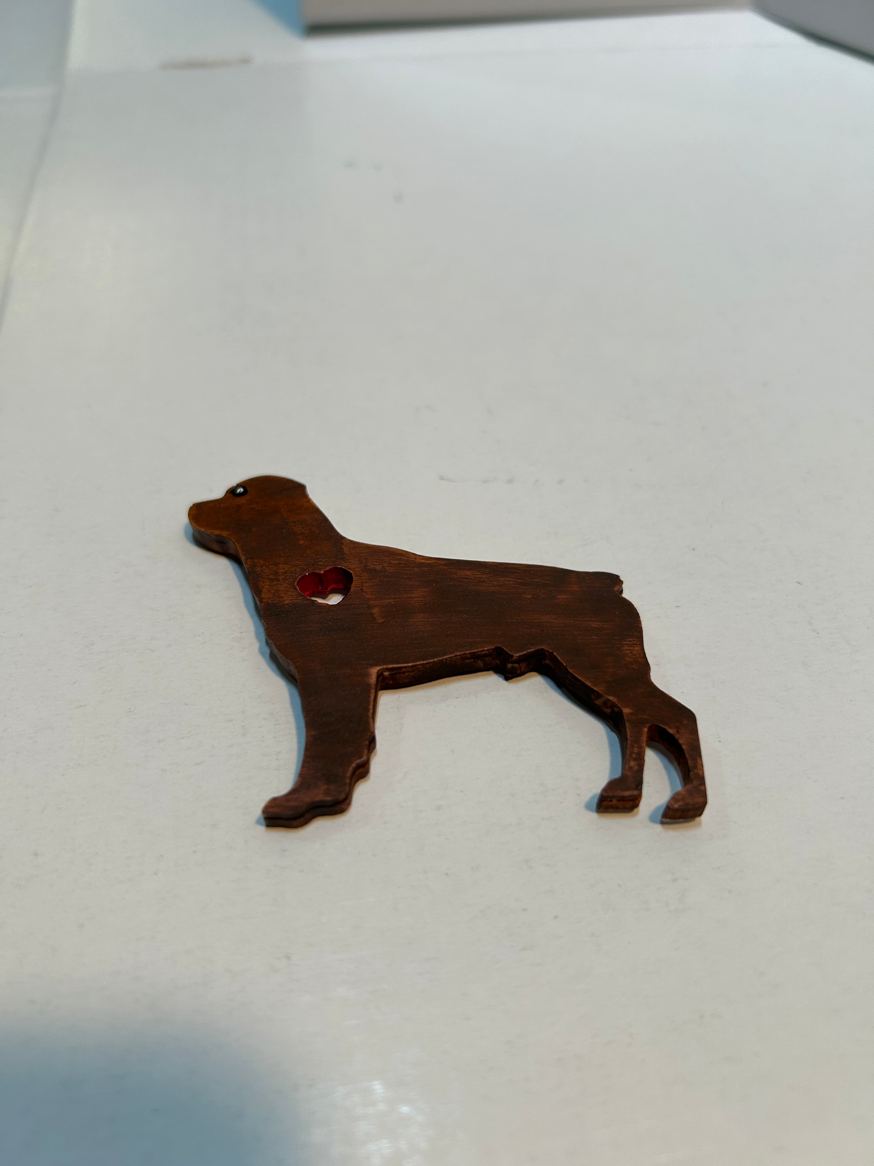 Dog magnents