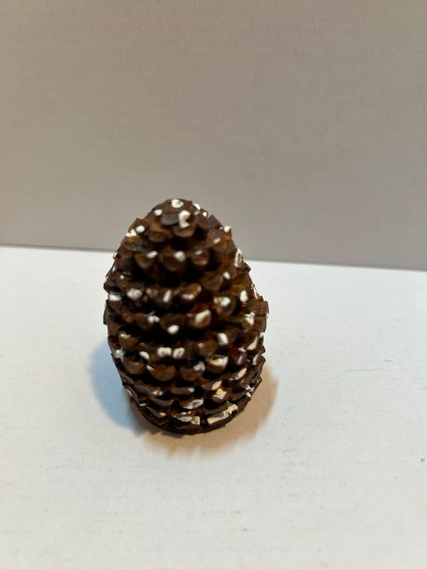 Pine cones