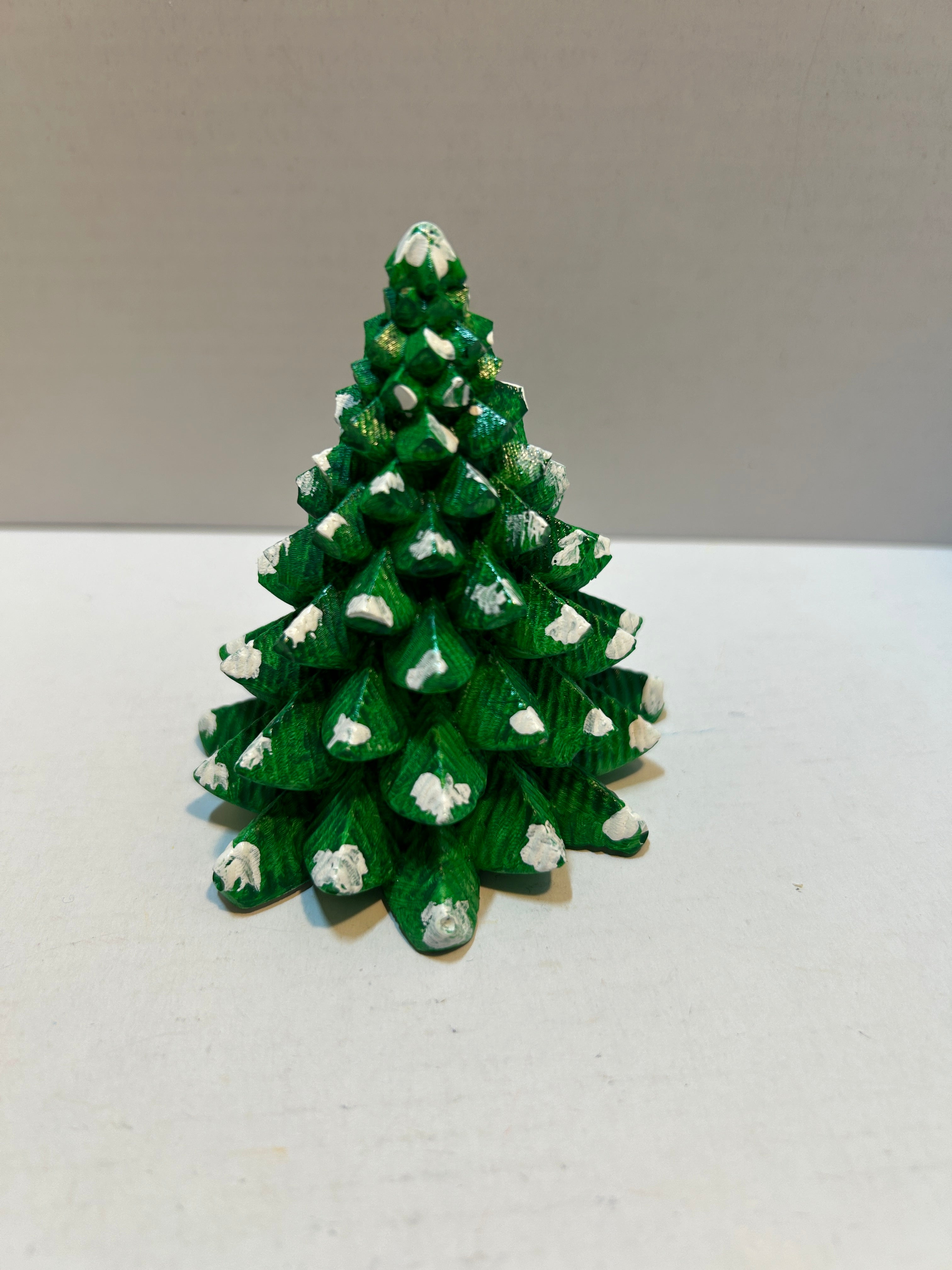 standing fir trees