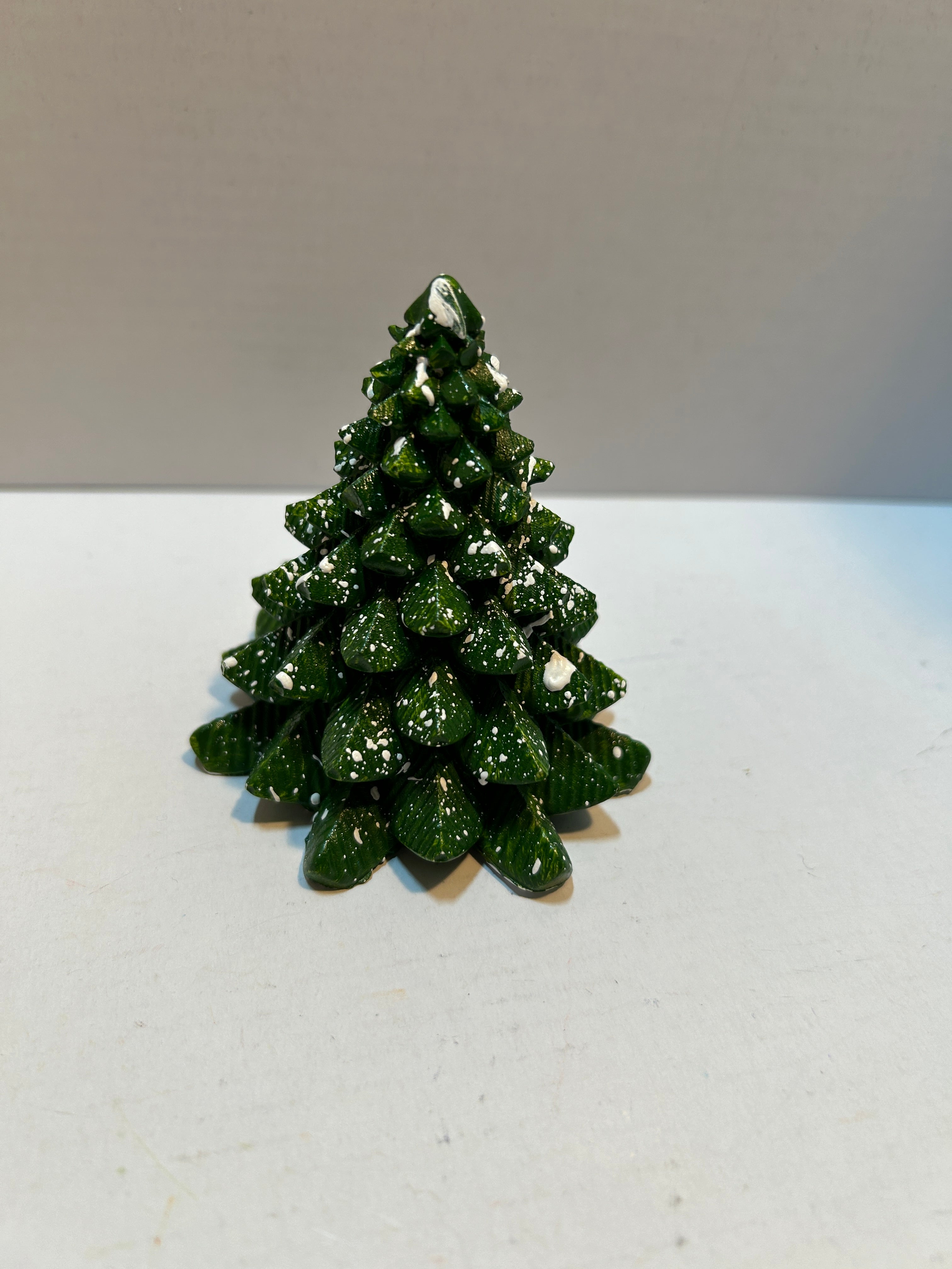 standing fir trees