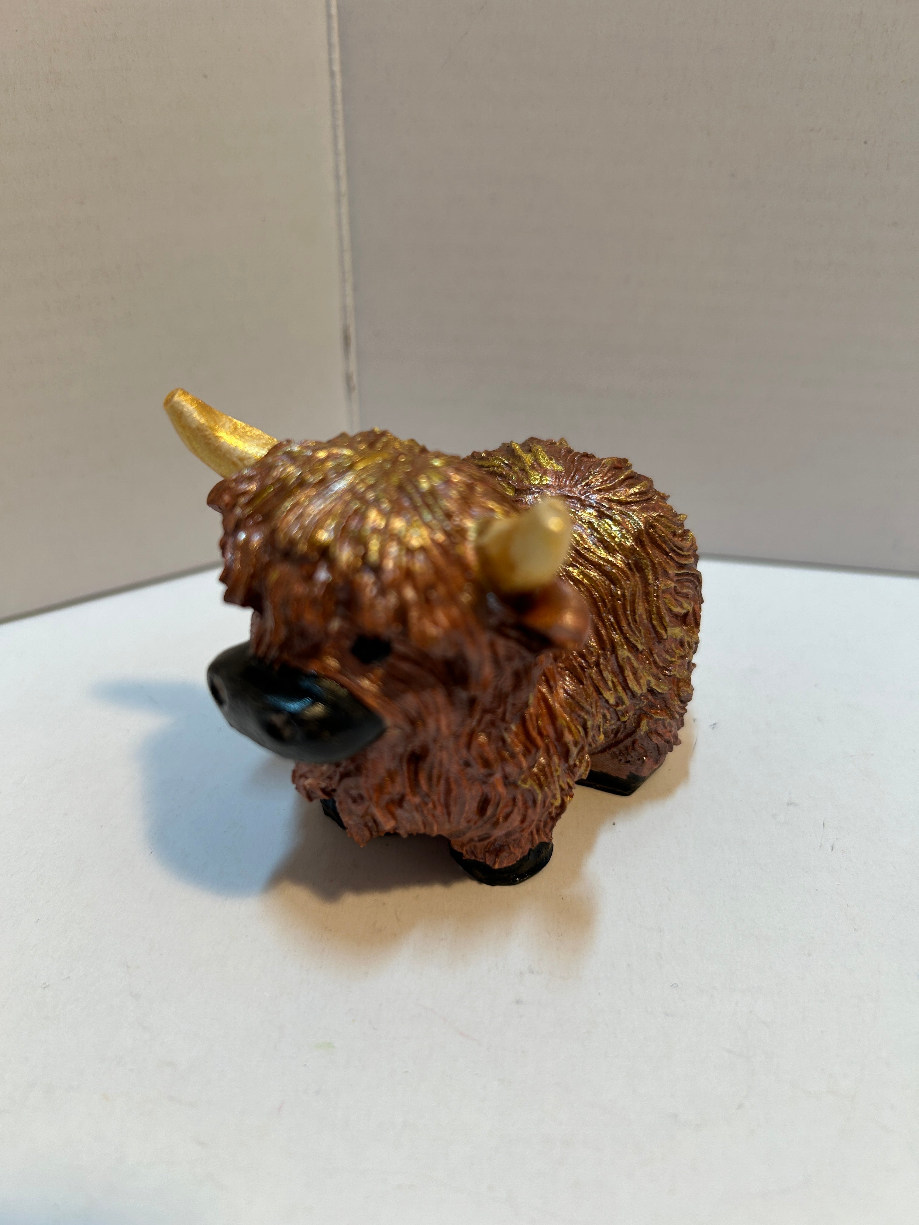 longhorn cattle