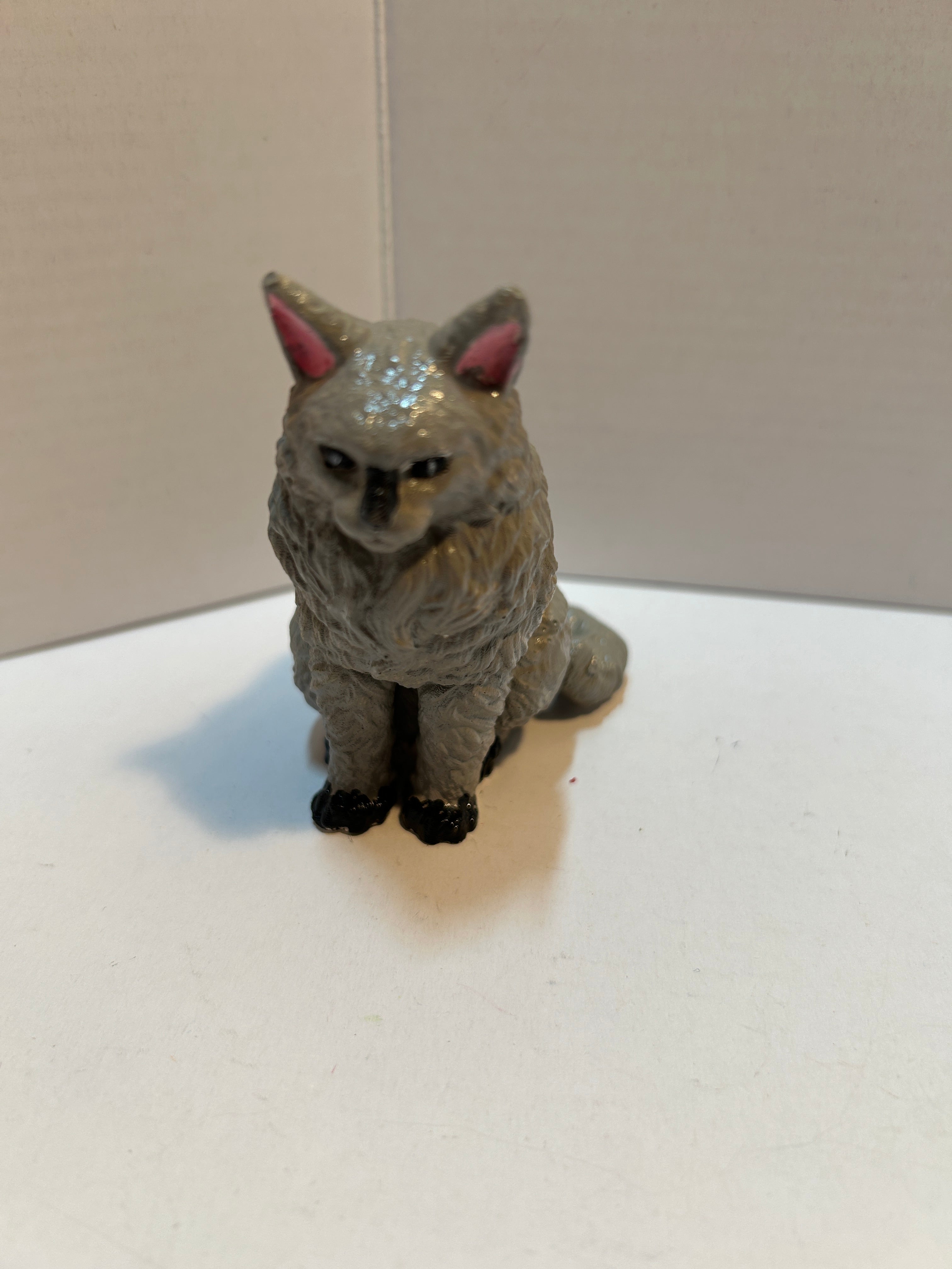 Sitting up cat