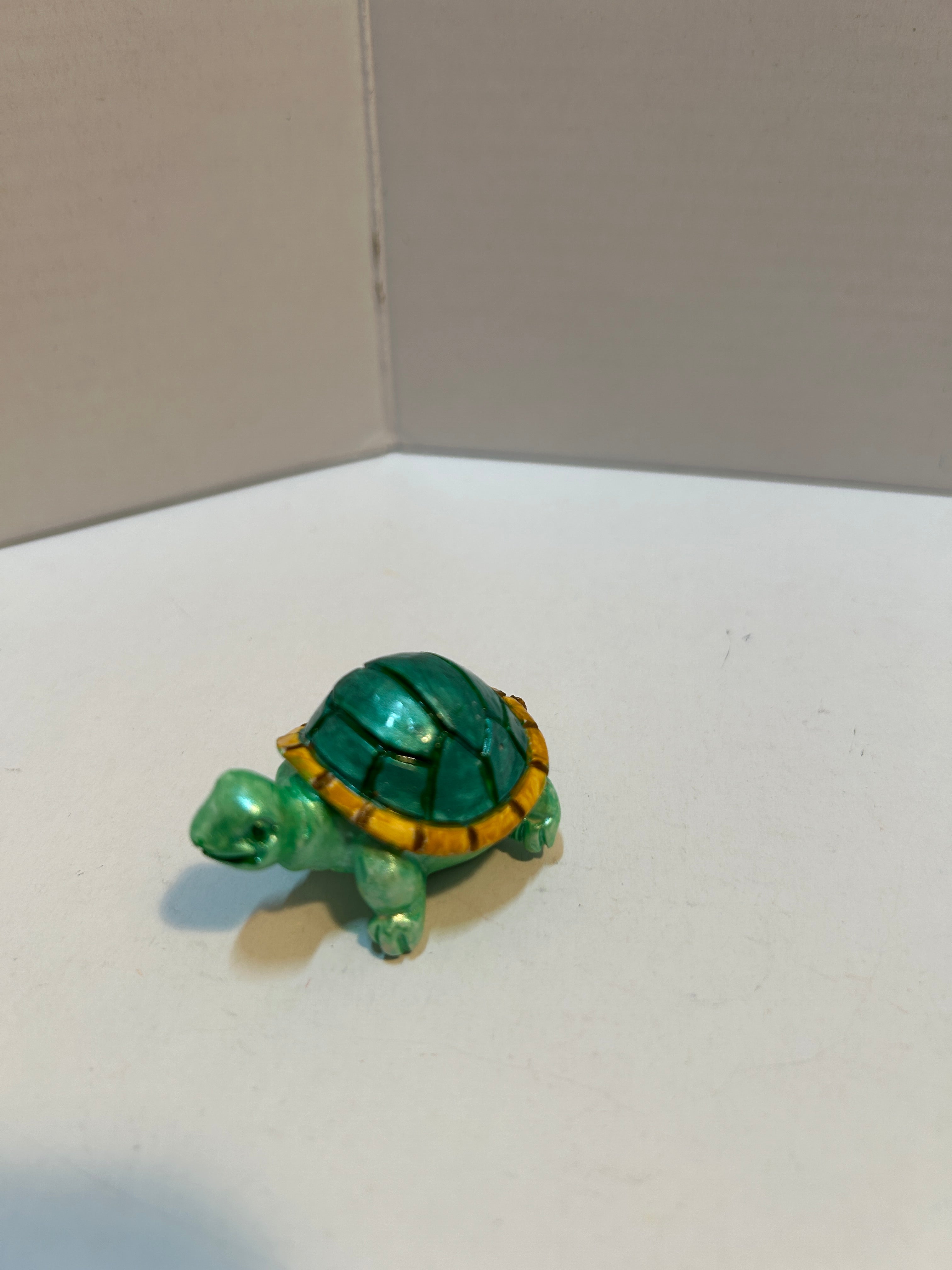 small turtle