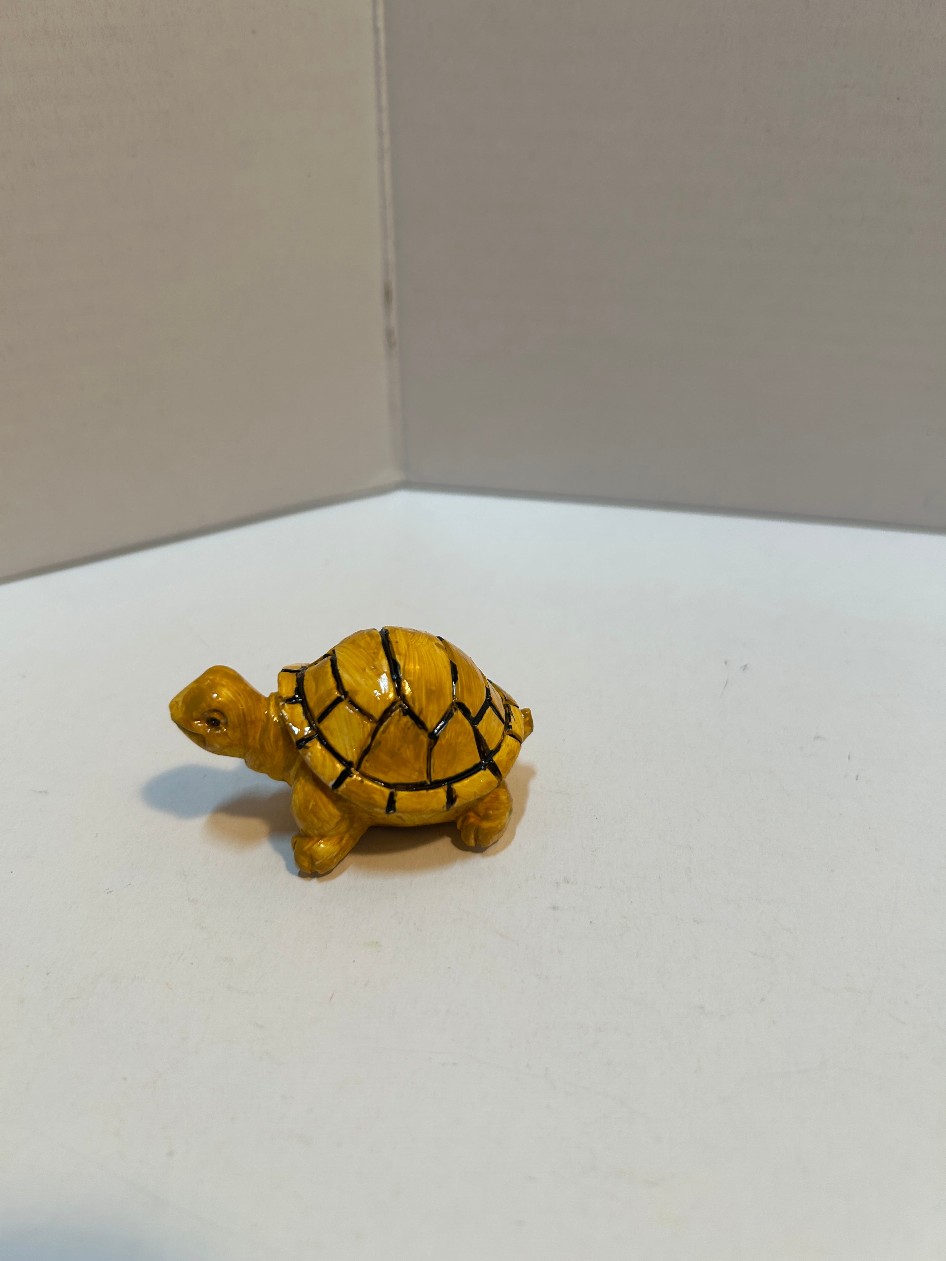 small turtle
